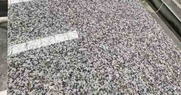 邵阳 芙蓉白光面