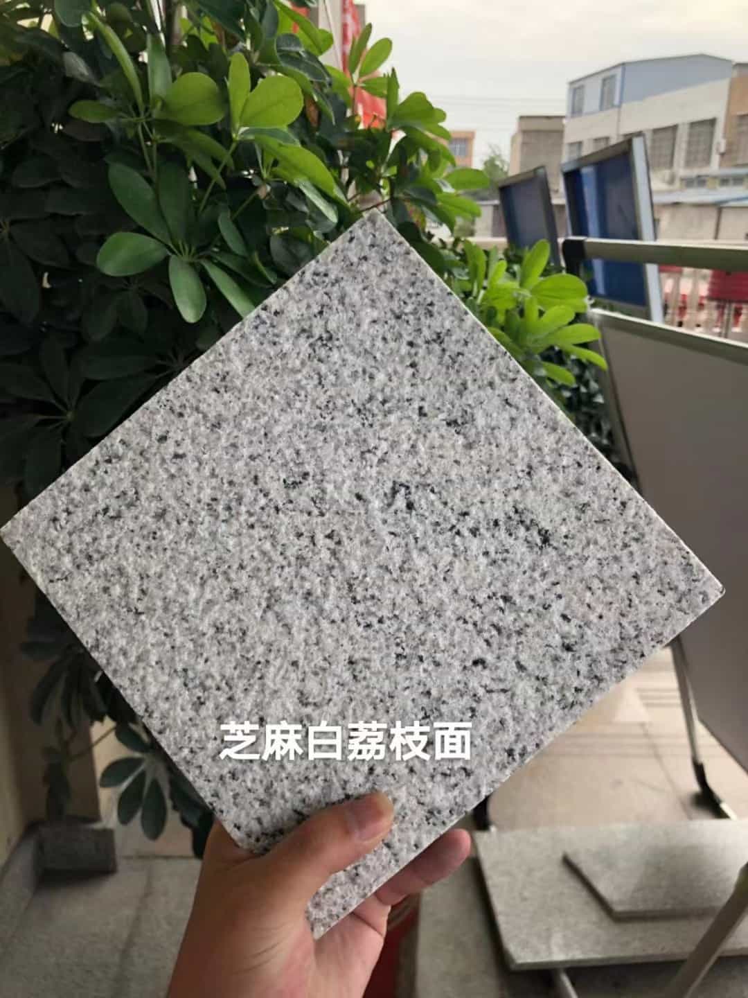 邵阳 芝麻白荔枝面干挂