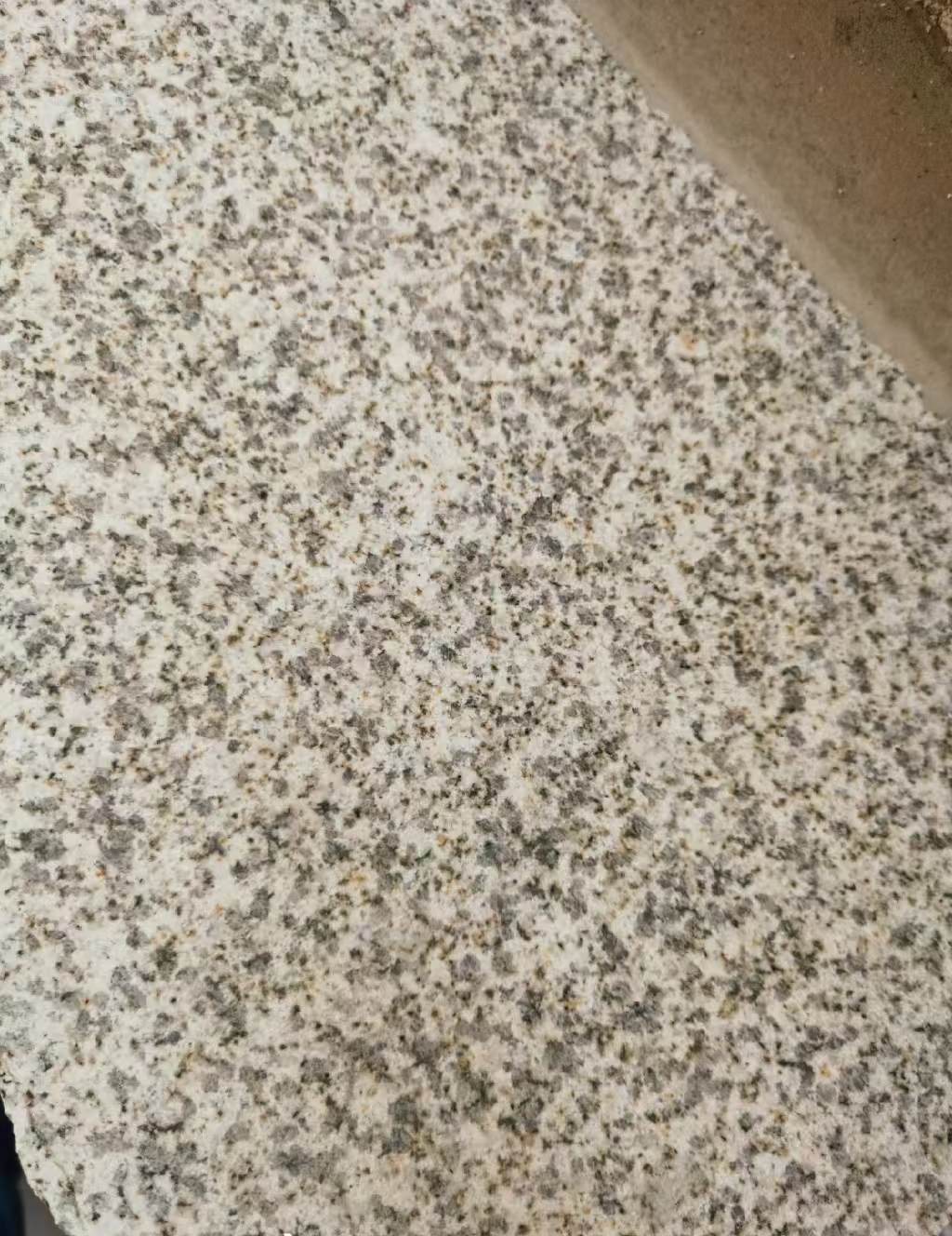 邵阳 黄金麻中黄光面