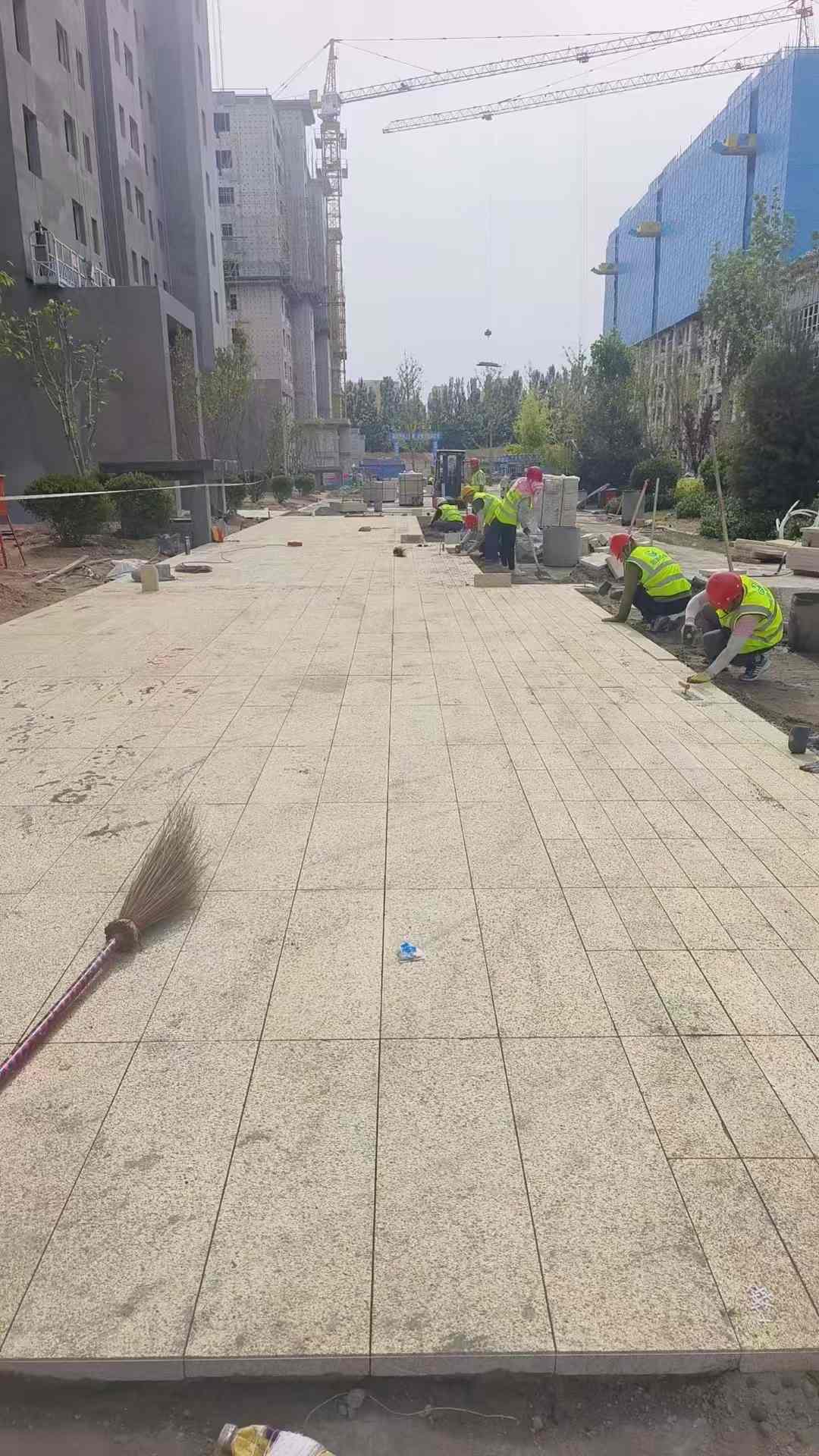 邵阳黄金麻荔枝面地铺案例
